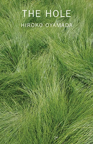 Hiroko Oyamada, David Boyd: The Hole (Paperback, 2020, New Directions)